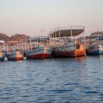 Aswan Dam - boats on body of water at daytime