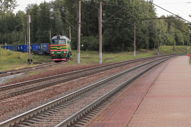 Trans-Siberian Railway - a train traveling down train tracks next to a forest