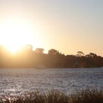 Barangaroo Reserve - a body of water with a boat in the distance