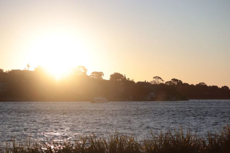 Sydney’s Barangaroo Reserve: a Revitalized Waterfront