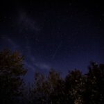 Starlink Satellites - green trees under blue sky during night time