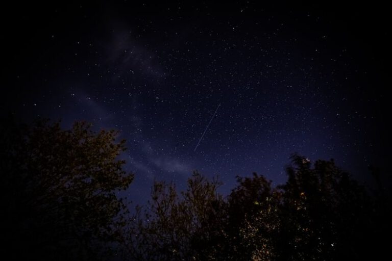 Starlink Satellites - green trees under blue sky during night time