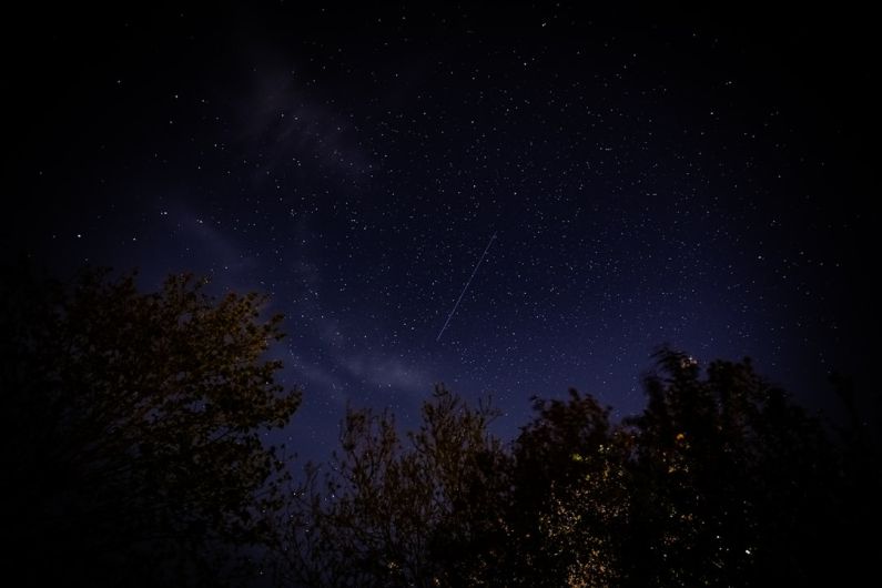 Starlink Satellites - green trees under blue sky during night time