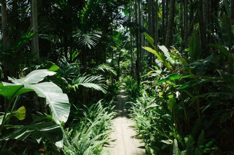 The Urban Jungle: Milan’s Vertical Forest