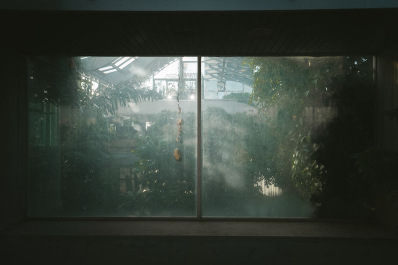 Tokyo Greenery - a window with a view of a house through it