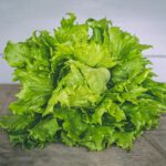Portland Green - closeup photo of lettuce on gray surface