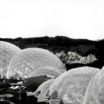 Eden Project - grayscale photo of a round glass ball