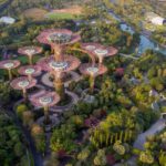 Gardens By The Bay - aerial view of trees, river, and architectural landmark