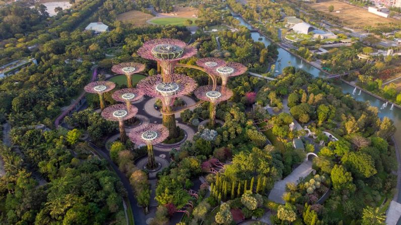 Gardens By The Bay - aerial view of trees, river, and architectural landmark