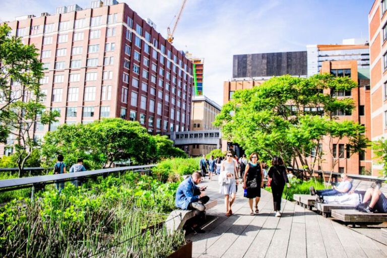 Revitalizing Urban Spaces: the High Line Effect in New York City