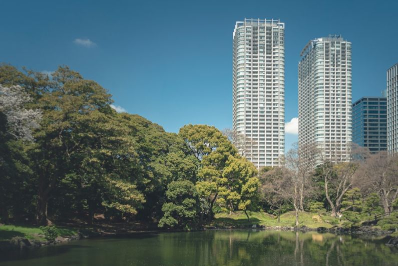 Urban Trees - green trees near body of water during daytime