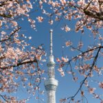 Tokyo Skytree - white and gray concrete tower under blue sky during daytime