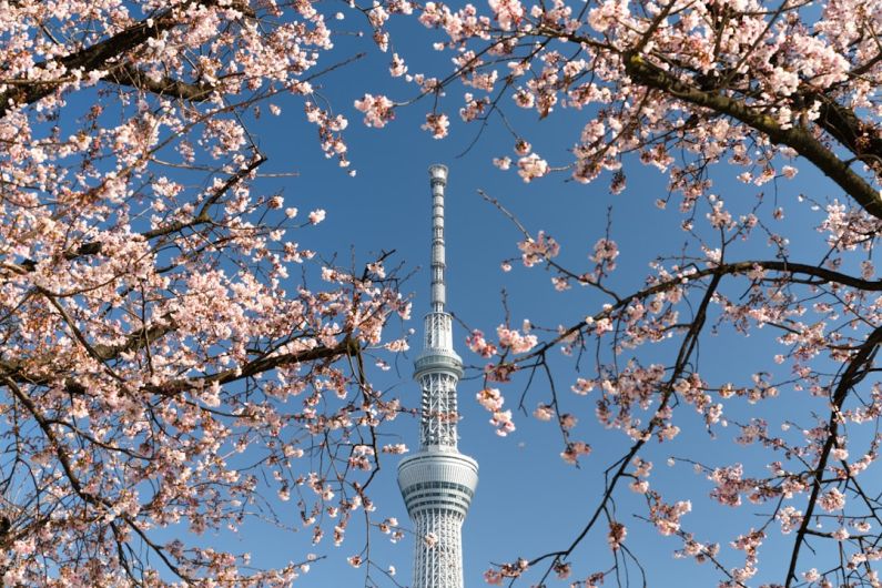 Tokyo Skytree - white and gray concrete tower under blue sky during daytime
