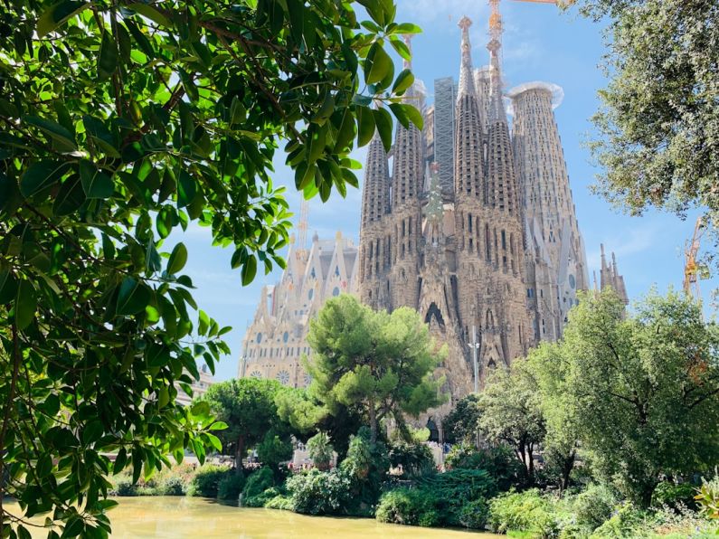 Sagrada Família - green trees near brown concrete building during daytime